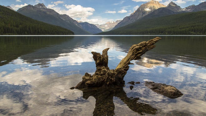 6.23.16 Bowman Lake in Glacier National Park. Photo by Jacob W. Frank, National Park Service