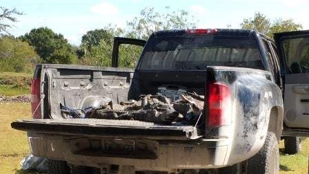 Nine people were arrested for 44 alligators. Investigators say they saw more than 10,000 illegal eggs sold.