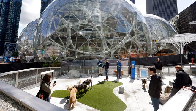 Amazon employees tend to their dogs in a canine play area adjacent to where construction continues on three large, glass-covered domes as part of an expansion of the Amazon.com campus on April 27, 2017, in downtown Seattle. The tallest of the three interconnected spheres, called Amazon Spheres by the company, will be 90 feet high and 130 feet in diameter, and is planned to include a botanic garden of waterfalls and treehouse-like spaces overlooking tropical gardens. The structures are expected to begin being used by employees in early 2018.