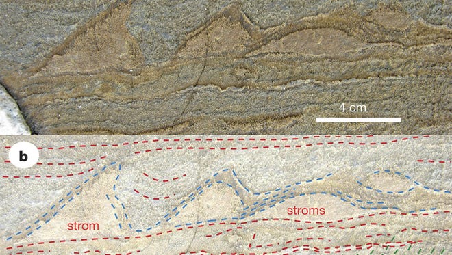 Part of the specimen of stromatolites found in Isua, Greenland.