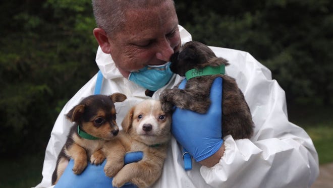 Workers treat some of the more than 100 dogs discovered in a Howell, N.J. home.
